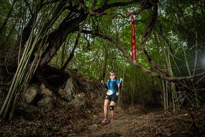 BIB: 
                            <button type="button" onclick="openModal(22178868)" class="btn btn-primary btn-sm float-right btn-popup" data-toggle="modal" data-target=".modal-high-quality">
                        <i class="fas fa-shopping-cart"></i> Add to Cart
                    </button>
                                            <button type="button" onclick="isThisMe(22178868, true)" class="btn btn-success btn-sm float-right btn-popup btn-isme hidden" data-toggle="tooltip" data-placement="bottom" title="นี่คือรูปของคุณใช่ไหม คลิกที่นี่เพื่อเอาเข้าอัลบั้ม">
                        <i class="fas fa-plus"></i> Add to album
                    </button>
                    <button type="button" onclick="isThisMe(22178868, false)" class="btn btn-warning btn-sm float-right btn-popup btn-isnotme hidden">
                        <i class="fas fa-ban"></i> Remove from album
                    </button>